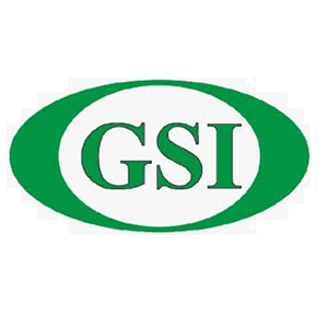 GSI
